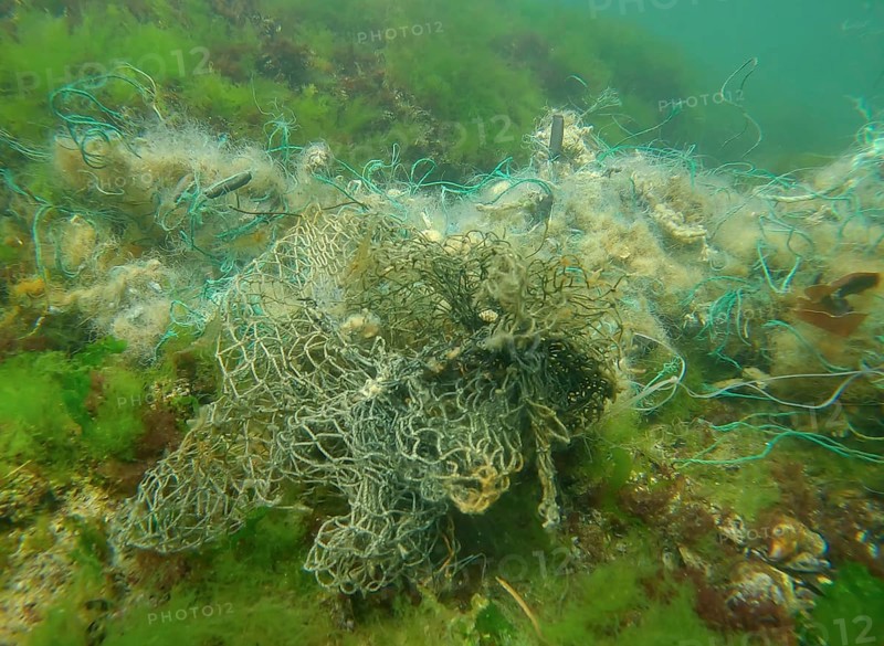 Lost fishing net lies on seabed in green algae Ulva on bright sunny day in sun glare in Black sea, Ghost gear pollution of Seas and Ocean, Black Sea, Odessa, Ukraine, Europe
