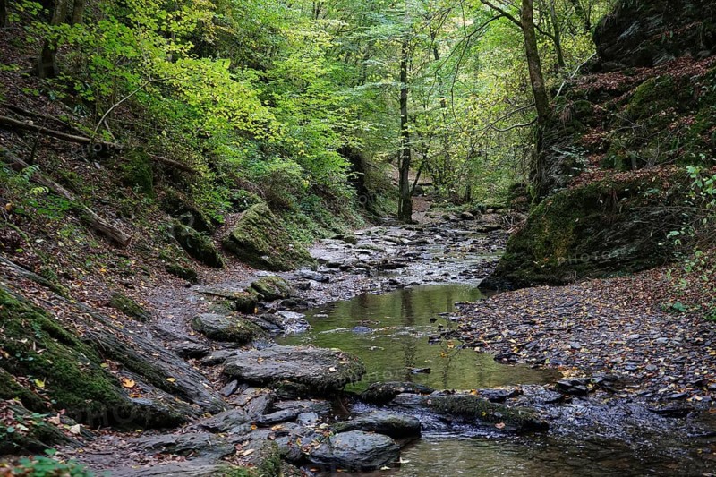 Hiking trail, Ehrbach valley, Hunsrück, near Brodenbach, Rhineland-Palatinate, Germany, Europe