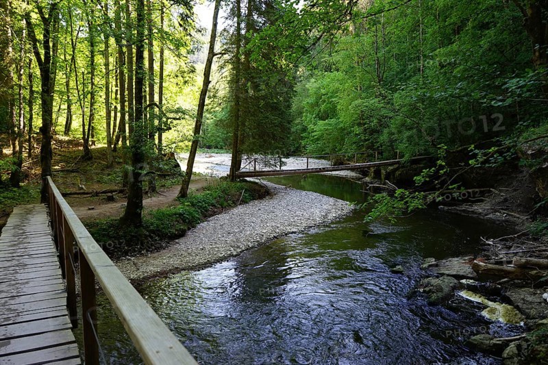 Hiking trail, wooden bridges over the Wutach, Wutach gorge between Bachheim and Wutachmühle, middle gorge in the main shell limestone, Schluchtensteig, southern Baar, Baden-Württemberg, Germany, Europe