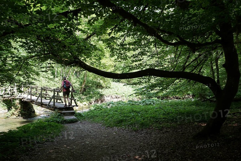 Hiker, bridge, hiking trail, Gauchachschlucht, Schluchtensteig, Gauchach, southern Baar, Baden-Württemberg, Germany, Europe