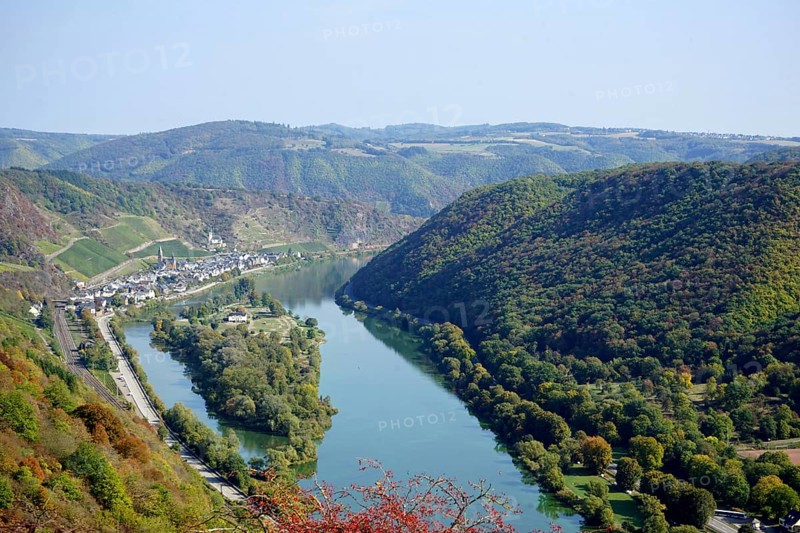 View of Hatzenport, vineyards and Moselle, Moselsteig, terraced Moselle, Moselle valley, Eifel, Rhineland-Palatinate, Germany, Europe