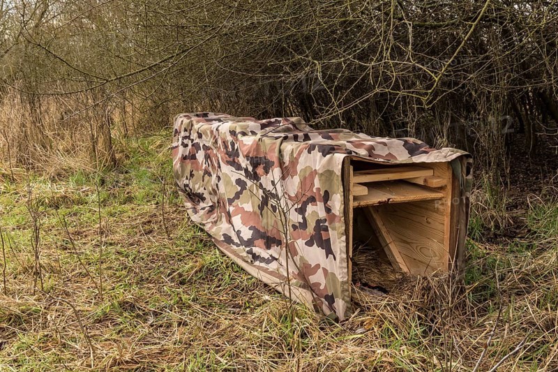 NSG Südliche Leineaue, Laatzen, live trap for catching nutrias (Myocastor coypus) on the bank of the Alte Leine