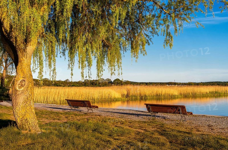 Landscape at the harbour of Sellin, Rügen, Mecklenburg-Vorpommern, Germany, Europe