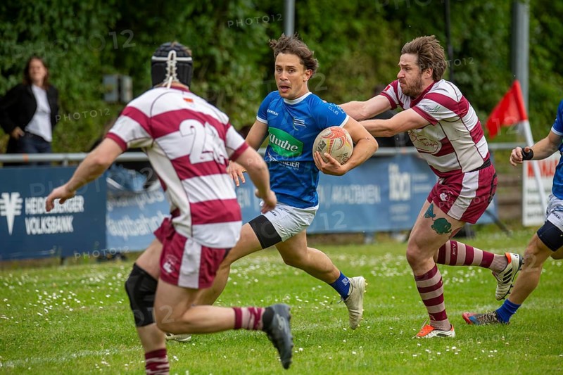 Rugby 1st Bundesliga South/West, Season 2024/25, Matchday 14: SC Neuenheim vs RSV Köln