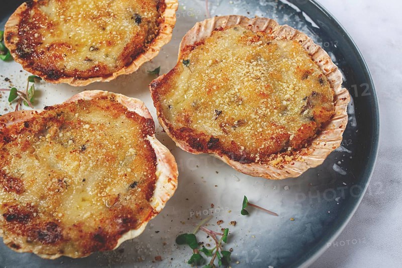 Scallop shells, stuffed, baked with cheese, in the oven, julienne with scallops