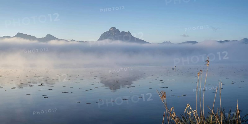 Sunrise at Lake Hopfensee near Füssen, with the Tegelberg massif and the Säuling behind it, Ostallgäu, Allgäu, Upper Swabia, Swabia, Bavaria, Germany, Europe