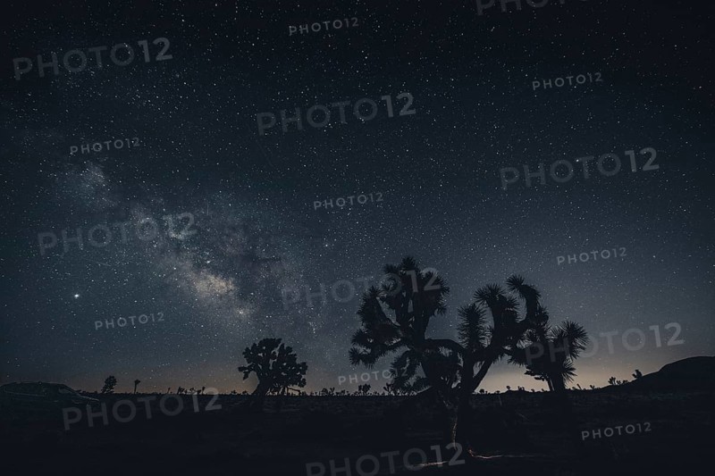 Starry sky with the Milky Way in Joshua Tree National Park