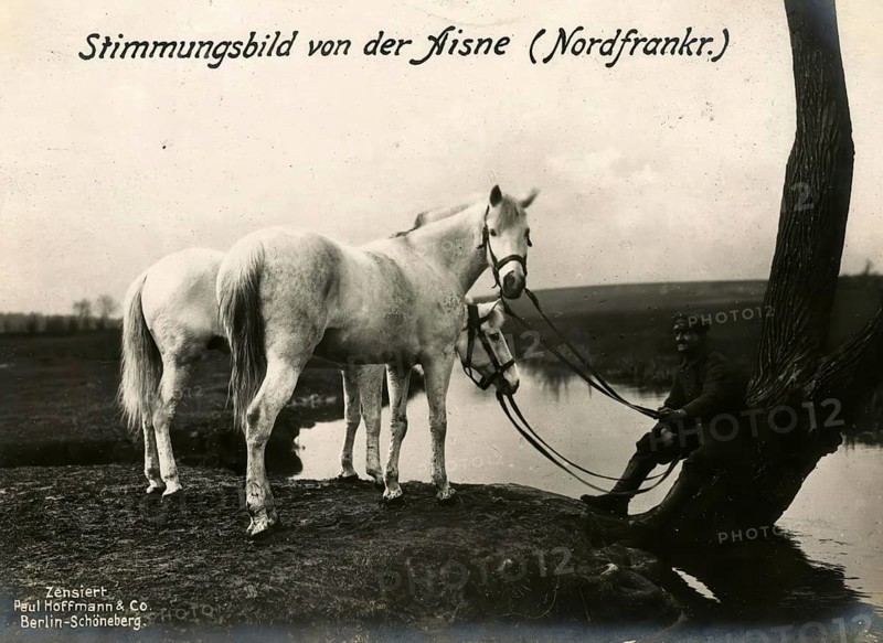 Mood picture of the Aisne, Northern France, 1914 - 1918, 1st World War, reproduction of a war postcard