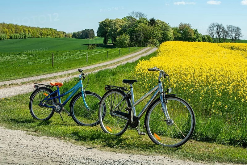 Two bicycles parked by small country roads by rapeseed fields in Sjörup, Ystad municipality, Skåne county, Sweden, Scandinavia, Europe