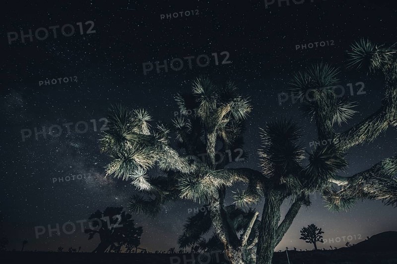 Starry sky with the Milky Way in Joshua Tree National Park
