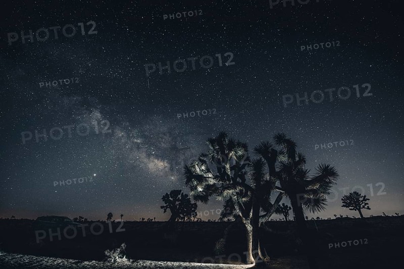 Starry sky with the Milky Way in Joshua Tree National Park