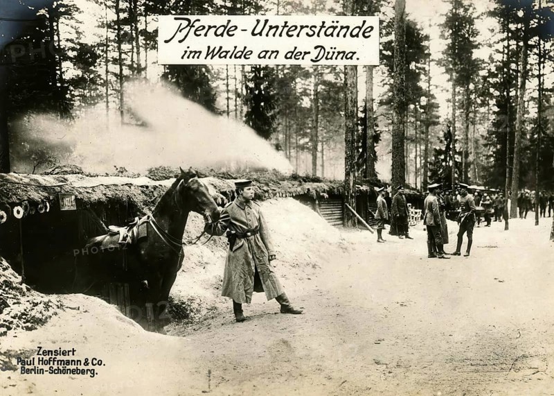 Horse shelters in the forest on the Düna, 1914 - 1918, World War I, reproduction of a war postcard
