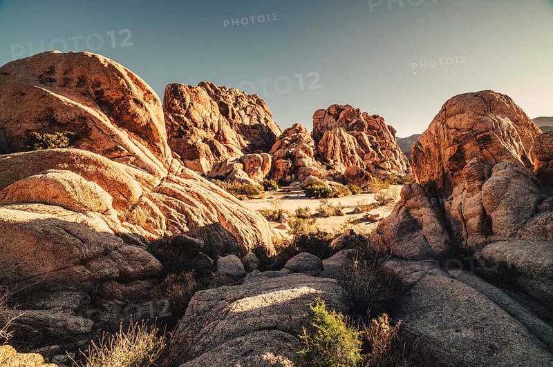 Sunrise in Joshua Tree National Park