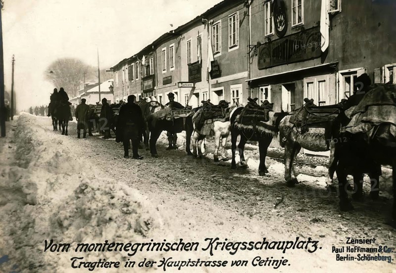 From the Montenegrin theatre of war. Pack animals in the main street of Cetinje, 1914 - 1918, World War I, reproduction of a war postcard