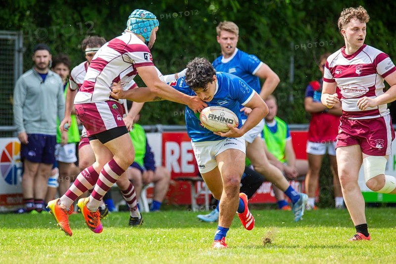 Rugby 1st Bundesliga South/West, Season 2024/25, Matchday 14: SC Neuenheim vs RSV Köln