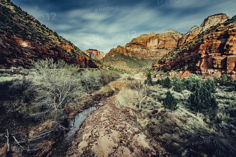Zion National Park