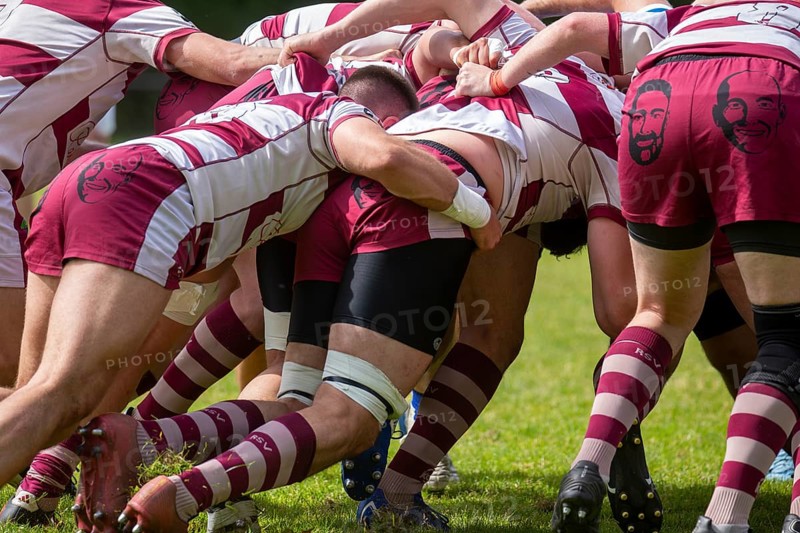 Rugby 1st Bundesliga South/West, Season 2024/25, Matchday 14: SC Neuenheim vs RSV Köln***Scrum. In the picture the players of Cologne