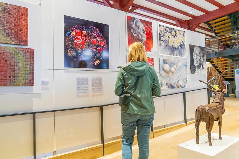 A woman in an art exhibition looks at modern artworks and sculptures, Calw, Black Forest, Germany, Europe