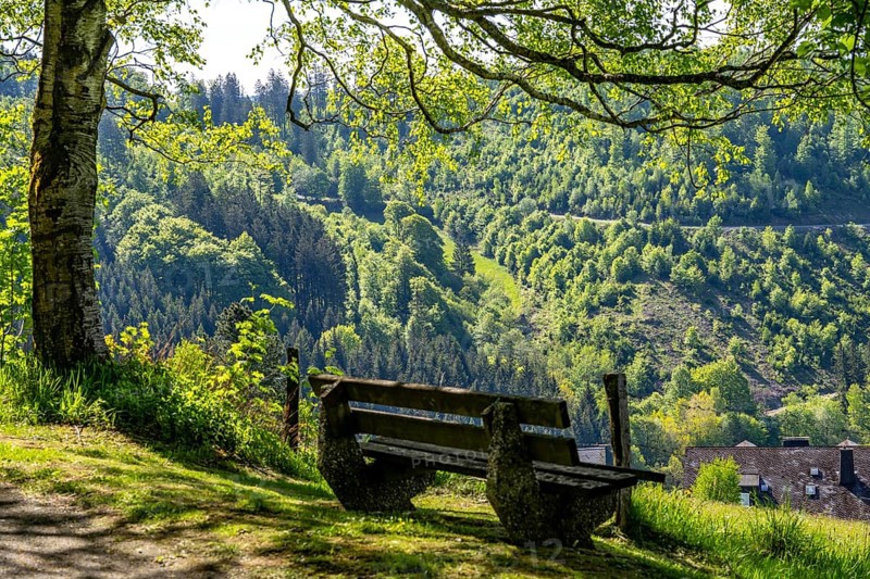 The village of Nordenau, district of Schmallenberg, in the Hochsauerlandkreis, North Rhine-Westphalia, Germany, Europe