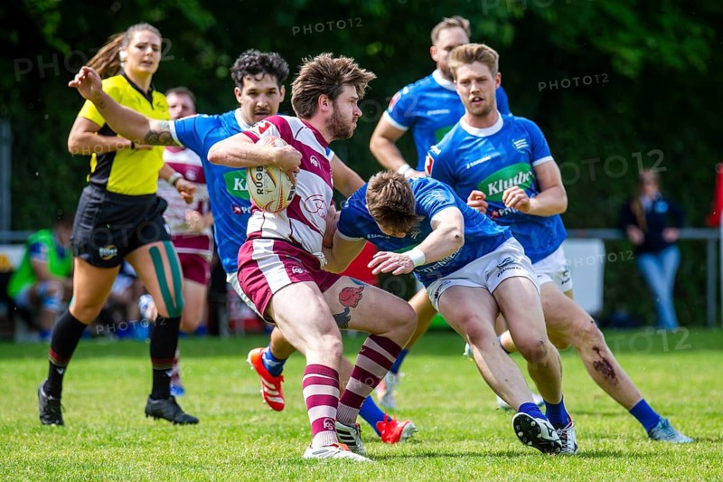 Rugby 1st Bundesliga South/West, Season 2024/25, Matchday 14: SC Neuenheim vs RSV Köln