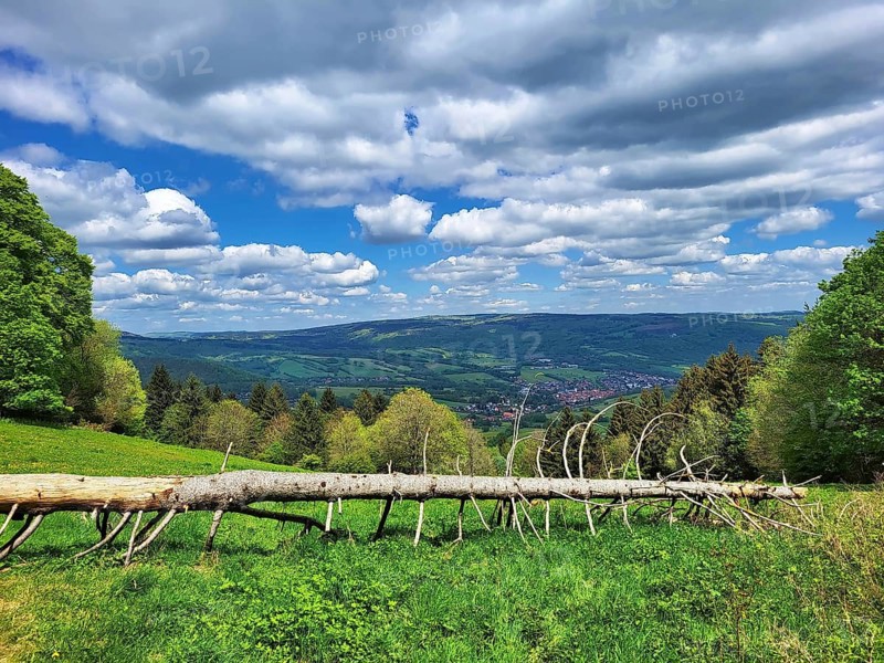 An idyllic landscape with a tree trunk lying across a green meadow. The meadow is interspersed with yellow flowers, giving the picture a lively variety of colours. A dense forest of coniferous and deciduous trees rises in the background, and behind it lies a valley with a small settlement, framed by rolling hills and mountains. The sky, clear and blue with scattered white clouds, emphasises the peaceful atmosphere. This picture captures the natural beauty and tranquillity of the surroundings