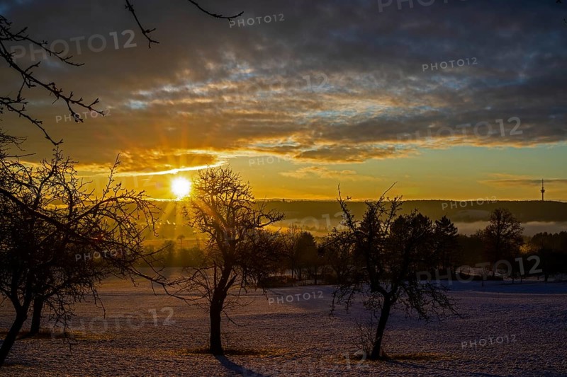 Sunrise, meadow orchard, winter