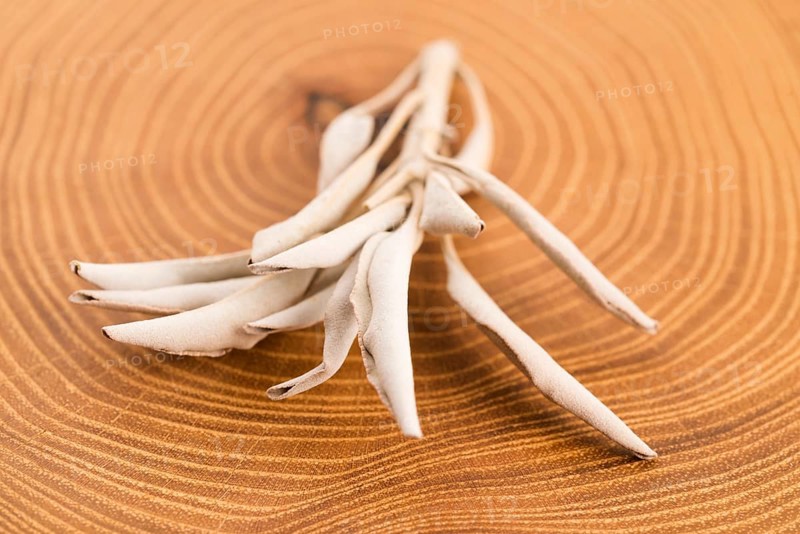 Dried white sage