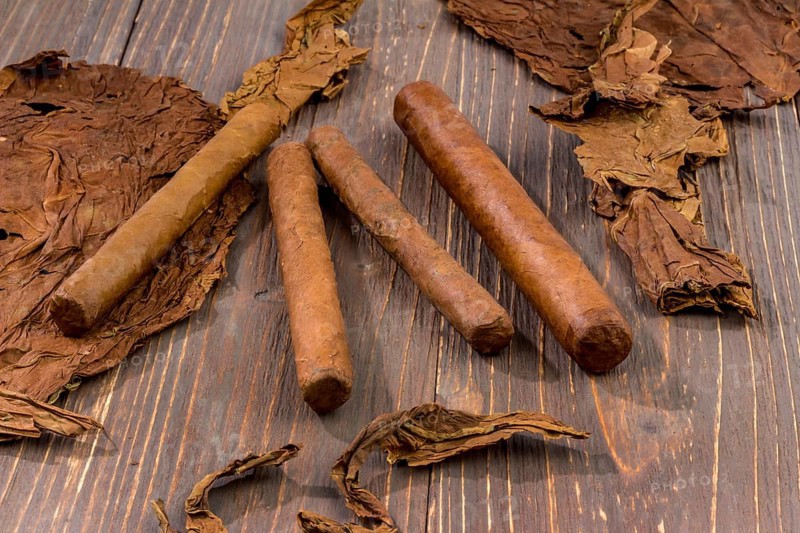 Leaves of tobacco and finished cigars lie side by side. Austria