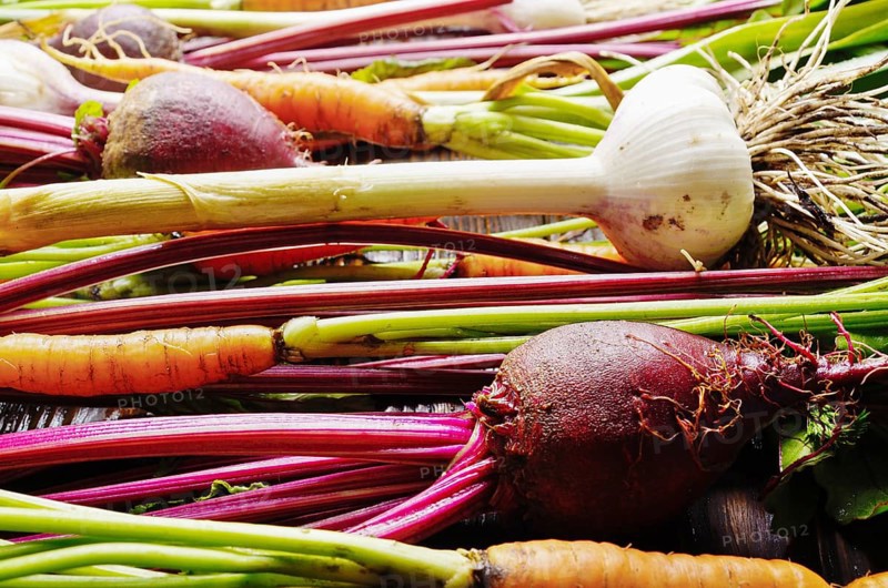 Vegan background of fresh organic beetroots green garlic and carrots