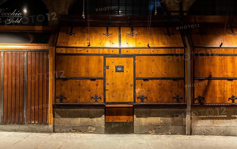 Vintage old door, concept for security, safety, secret, privacy, protection