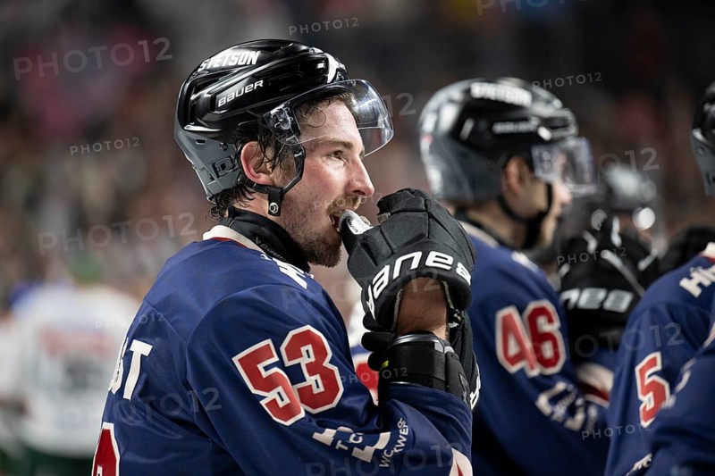 Laura Dick Cologne, LanxessArena, North Rhine-Westphalia, Adam Almquist (Cologne Sharks, #53), PENNY DEL, Cologne Sharks-Augsburg Panthers on 08/12/2024 at the LanxessArena in Cologne Germany