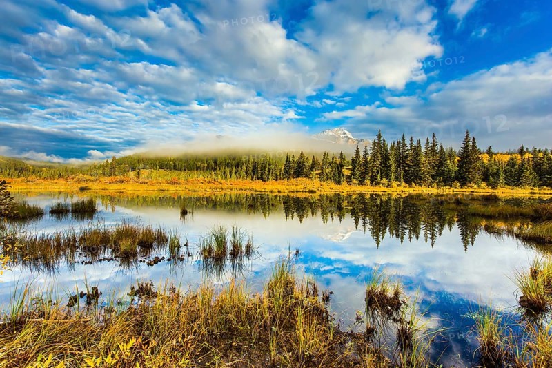 Patricia Lake among the firs and pines. Water reflects the sky. Cool cloudy morning in the Rocky Mountains. The concept of extreme and ecotourism