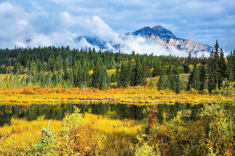 Lake amongst the evergreen forests, yellowed shrubs and mountains. Warm autumn day in Jasper Park, Canadian Rockies