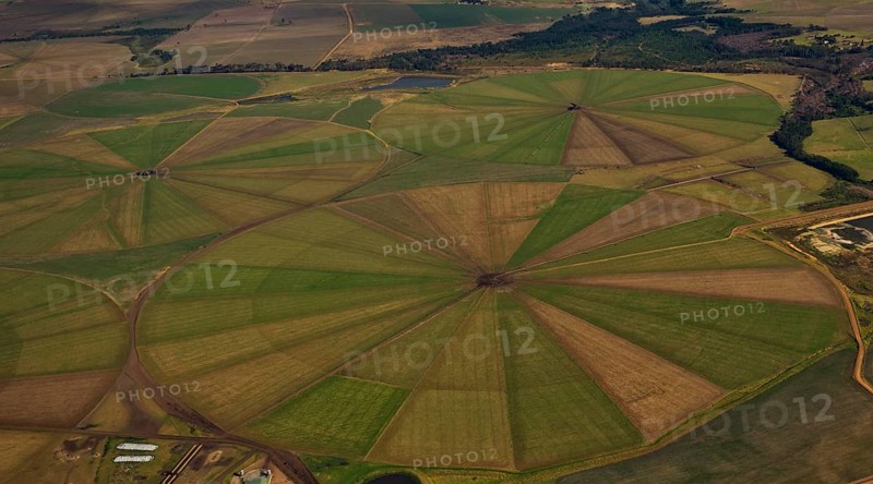 Irrigation system, agriculture, green areas, reservoir, forest, gravel road, Clarkson, Eastern Cape, South Africa, Africa