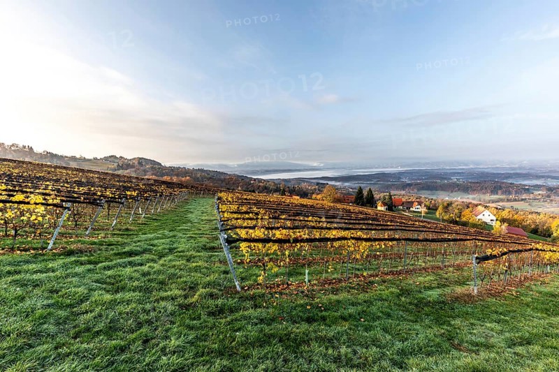 Morning atmosphere at the vineyard, fog drifts over wooded hills in the valley, St. Andrä-Höch, Sausal wine country, Styria, Austria, Europe