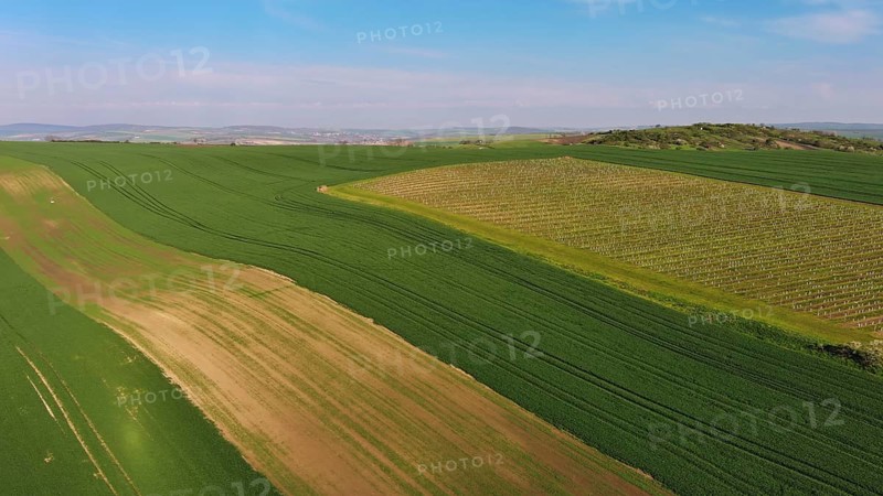 Aerial view of amazing green wavy hills with agricultural fields and vineyards in spring. South Moravia region, Czech Republic, Europe