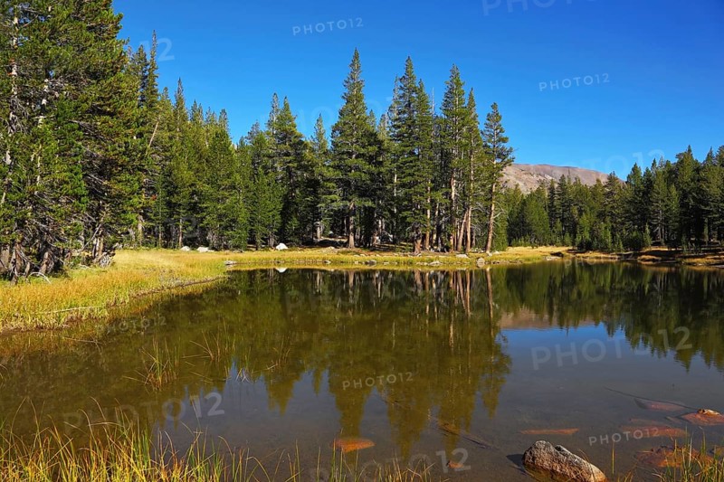 A quiet lake, surrounded by woods, in the mountains of Yosemite Park. Early autumn morning