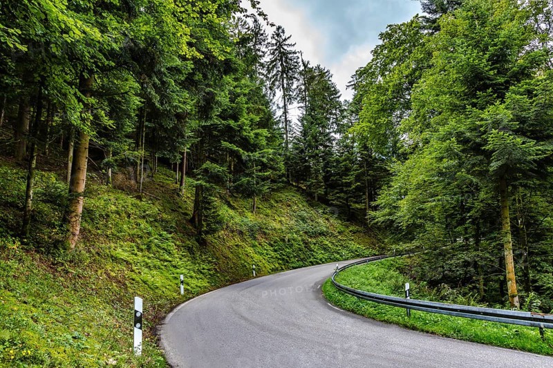 Teerstraße, die sich durch eine üppige grüne Landschaft mit Frühlingswald in einem Alpental schlängelt, in einem Reise- und Tourismuskonzept