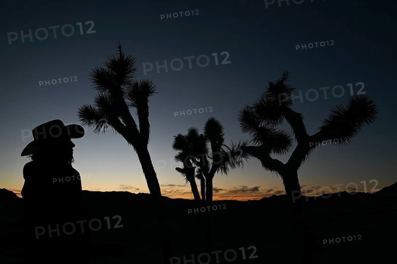 Sunset in Joshua Tree National Park, California, USA, North America