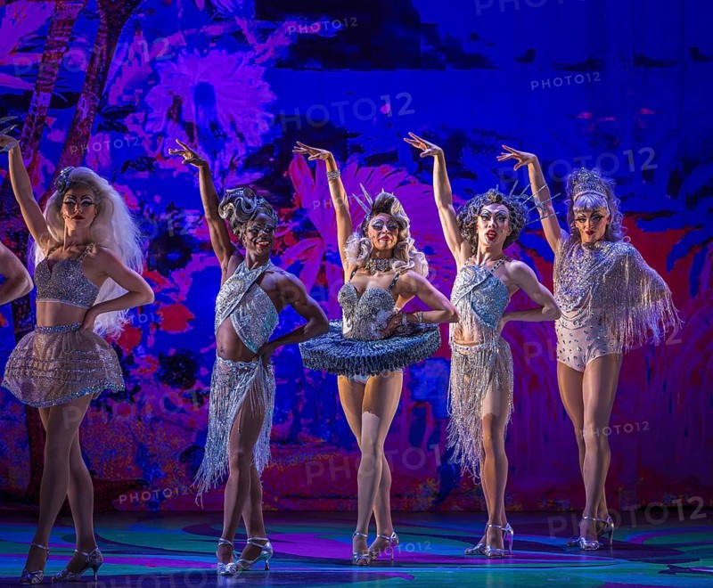 La Cage Aux Folles (A Cage Full of Fools)