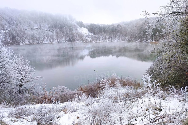 Forest lake in winter