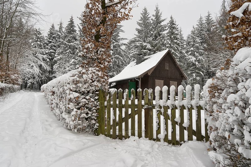 House by the forest