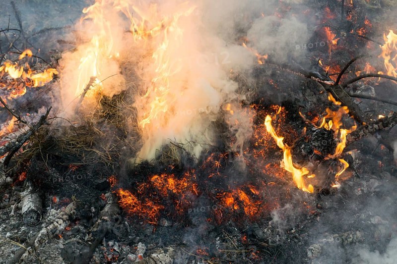 Close-up of fire with smoke, embers and ash