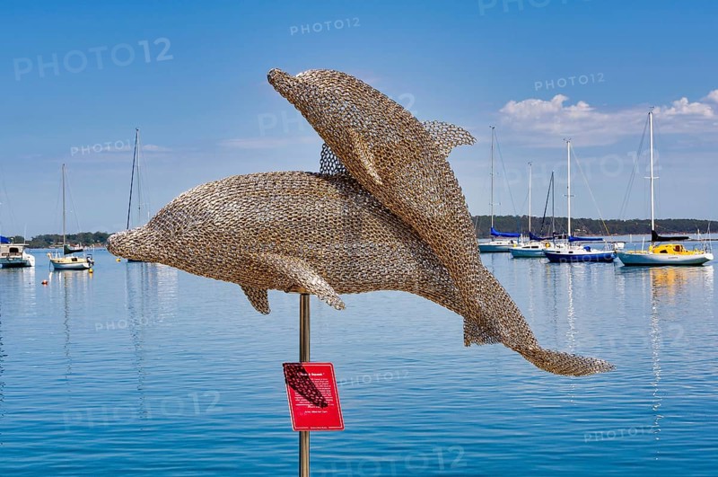 Stainless steel chain sculpture, Harmony, Dolphin Family, by Mike Van Dam, Soldiers Point, NSW, Australia, Oceania