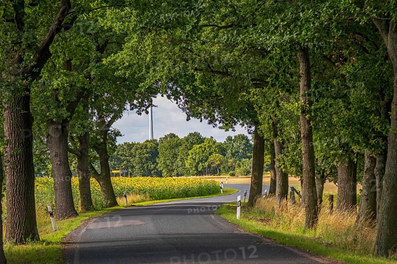 Country road