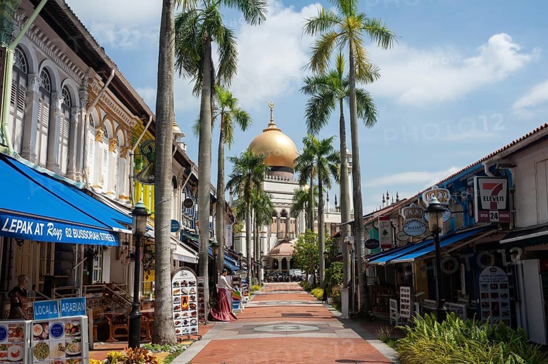 05.05.2020, Singapore, Republic of Singapore, Asia, Exterior view of the Sultan Mosque (Masjid Sultan) in the Muslim Quarter (Kampong Glam) with closed shops in the foreground. With a few exceptions, the vast majority of retailers, as well as all religious institutions such as temples, mosques and churches, remain closed during the lockdown amid the corona crisis (Covid-19), Asia