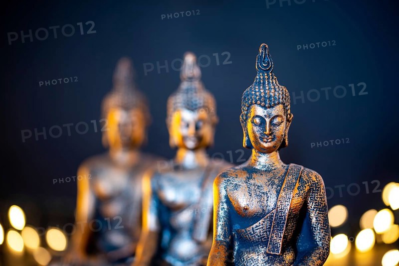 Netherlands. October 2022.buddha statue in calm rest pose. Shakyamuni Buddha is a spiritual teacher, one of the three world religions