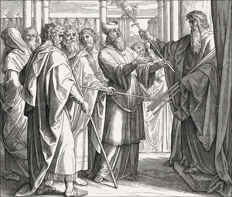 The Blossoming of Aaron's Rod, Old Testament, by Julius Schnorr von Carolsfeld, 1860