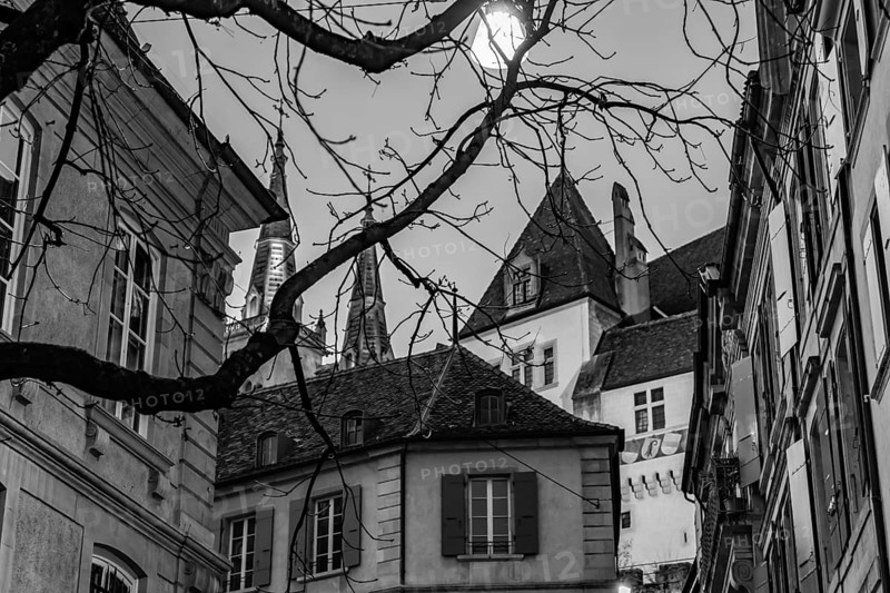 Tree Branch and Street in Old Town with House and Cathedral Tower in Sunset in City of Neuchatel, Canton Neuchatel, Switzerland, Europe