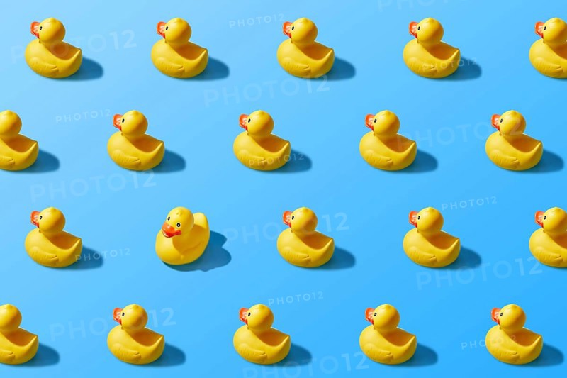 Trendy pop art design of a yellow rubber duck pattern from a top view. Dissenting opinion, chosen one, not like everyone else